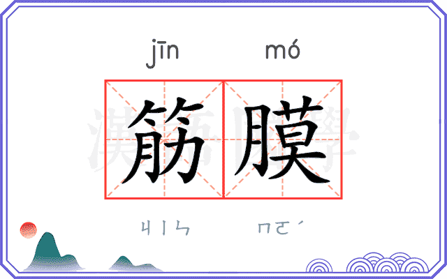 筋膜
