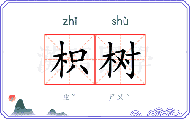 枳树