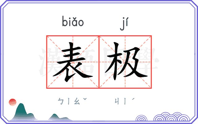 表极