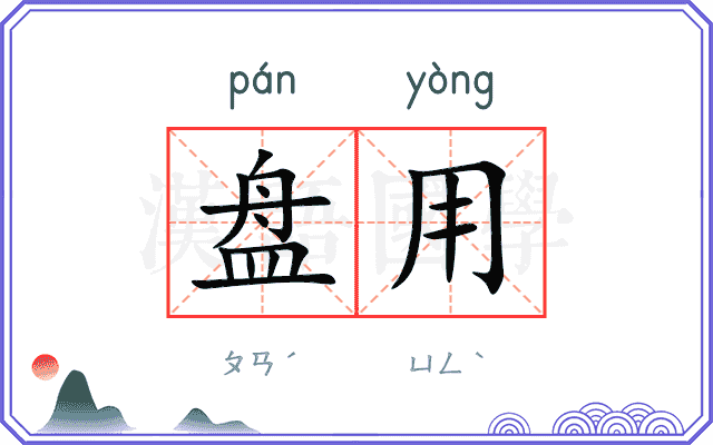 盘用