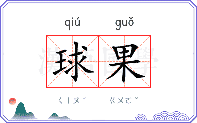 球果