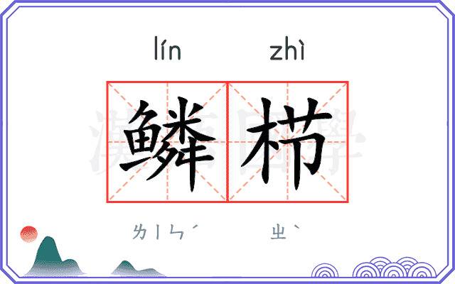 鳞栉