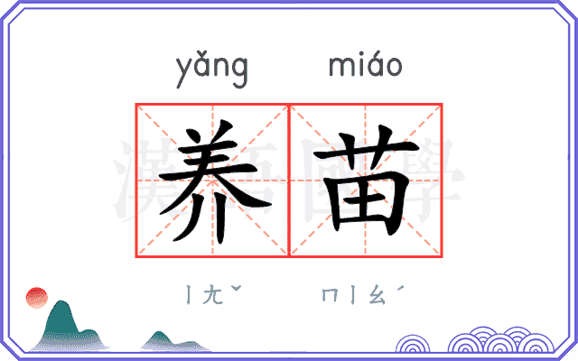 养苗