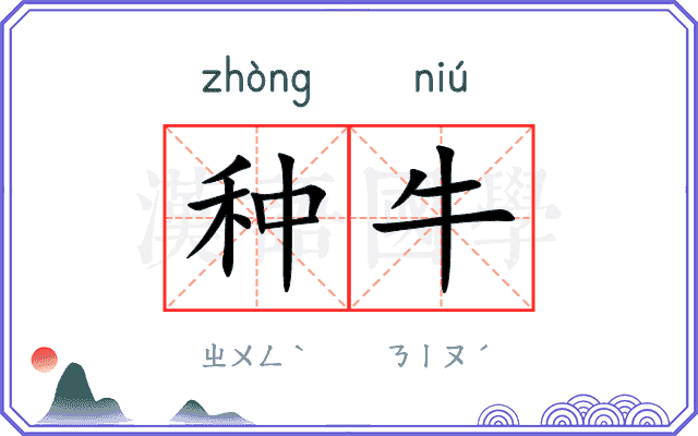 种牛