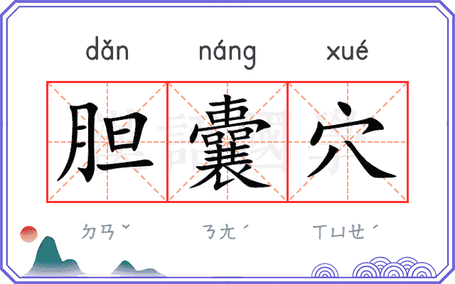 胆囊穴