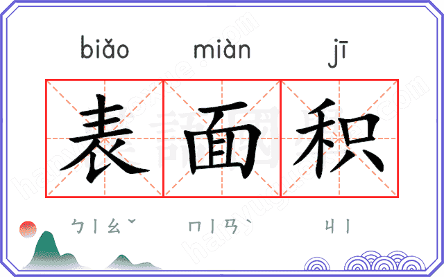 表面积