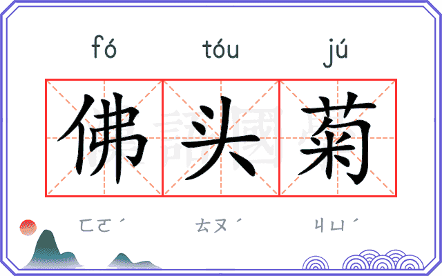 佛头菊