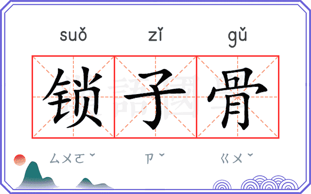 锁子骨
