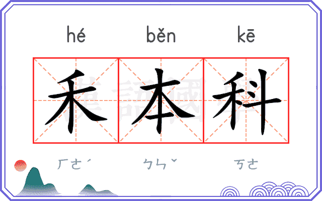 禾本科