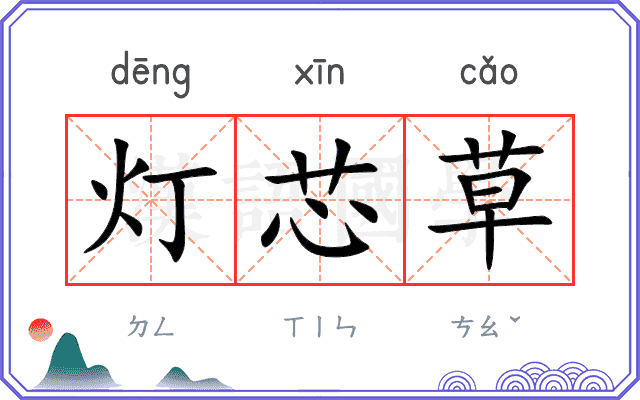 灯芯草