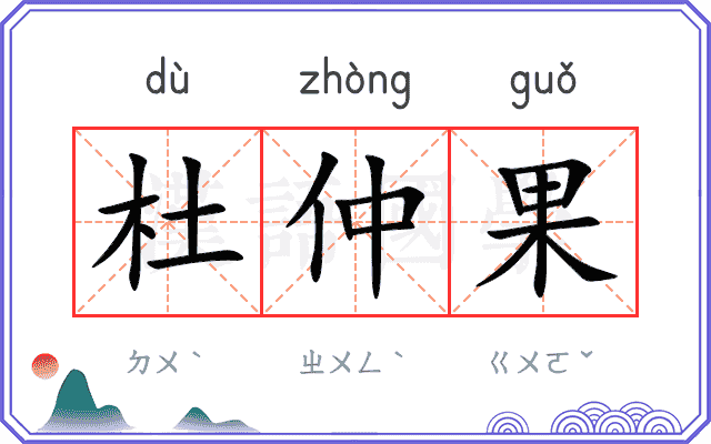 杜仲果