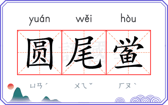 圆尾鲎
