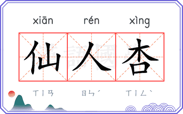 仙人杏