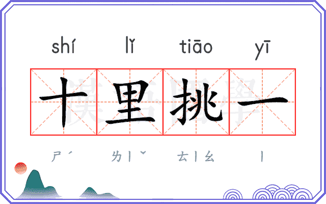 十里挑一