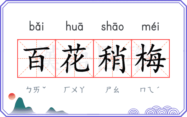 百花稍梅