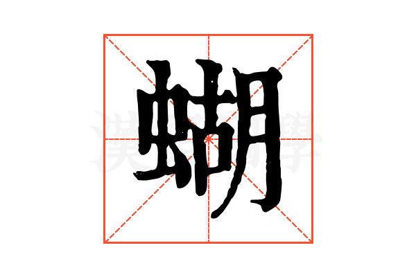 蝴