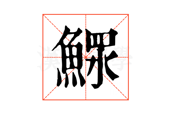 𩹌