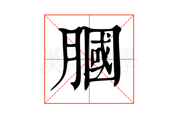腘